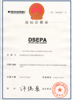 鼎升电力注册商标DSEPA